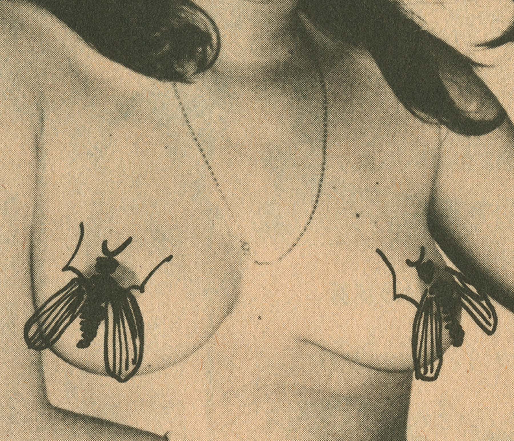 Carousel Image number 16