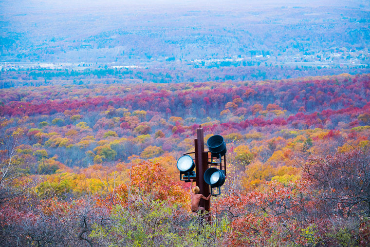 Carousel Image number 8