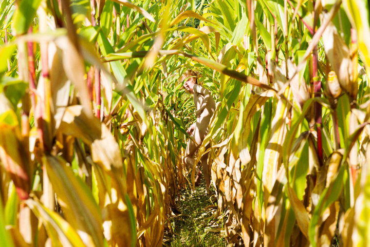 Carousel Image number 13