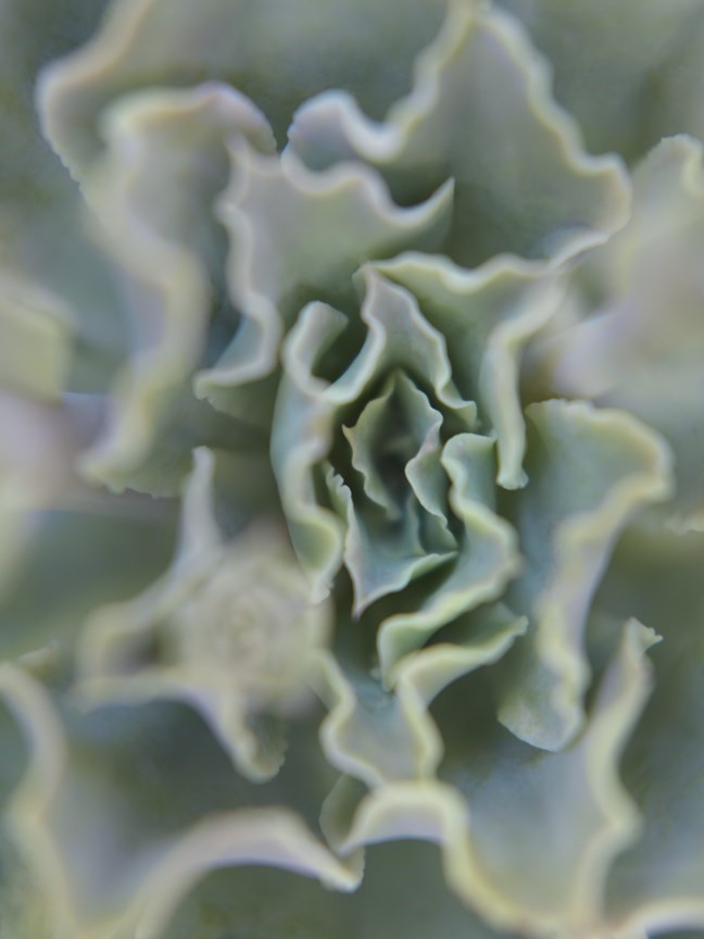 Carousel Image number 2