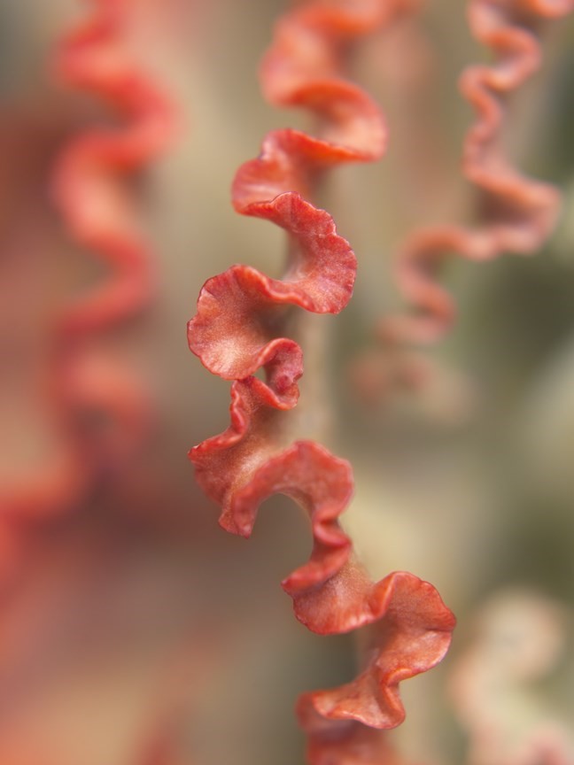 Carousel Image number 6