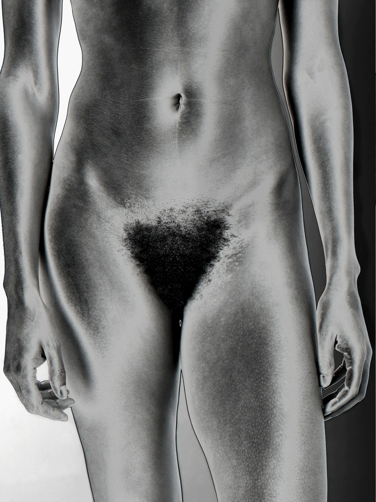 Carousel Image number 7