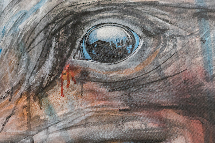 Carousel Image number 10