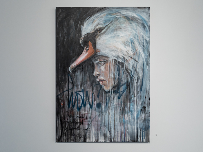 Carousel Image number 17