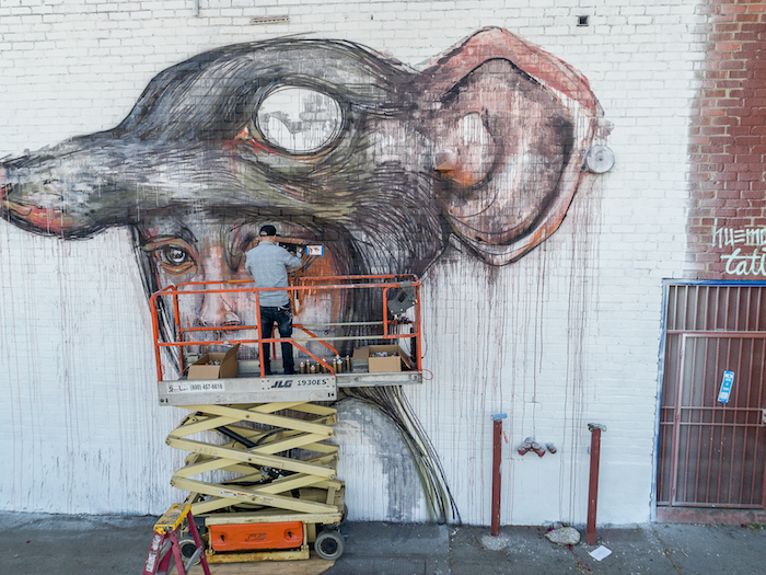 Carousel Image number 24