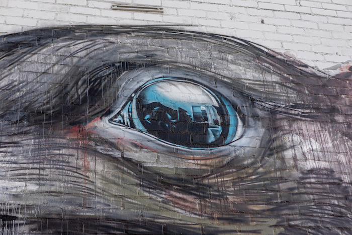 Carousel Image number 30