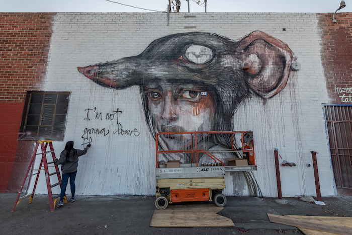 Carousel Image number 38