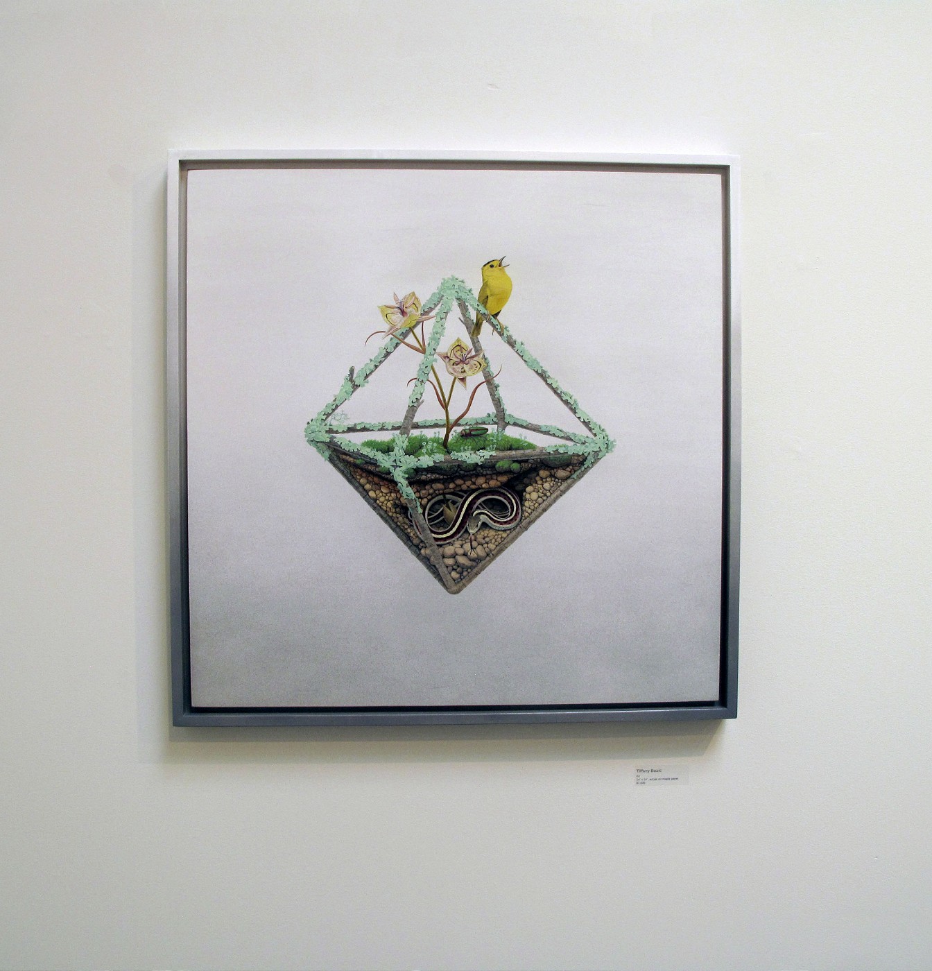 Carousel Image number 5