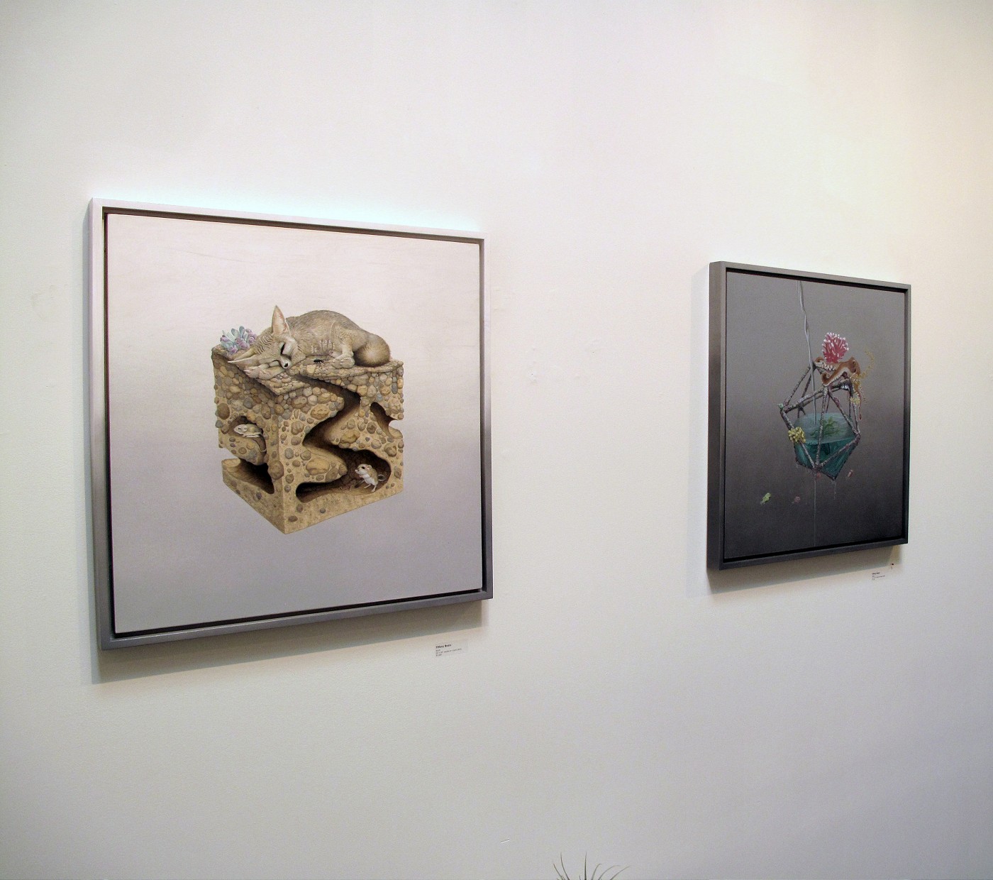 Carousel Image number 6