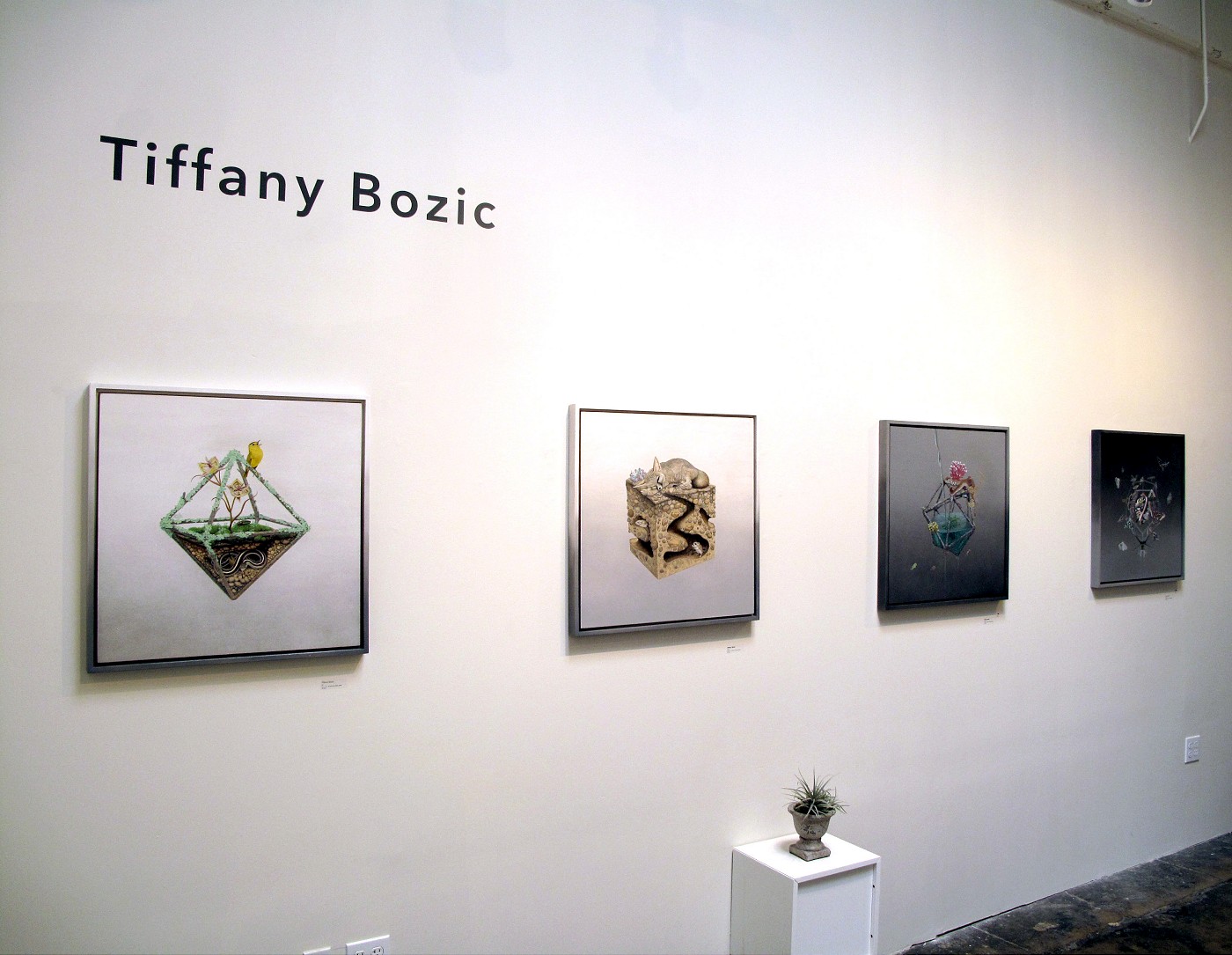 Carousel Image number 8