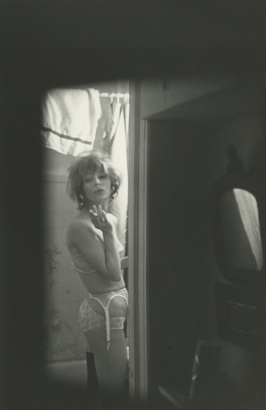 Carousel Image number 16