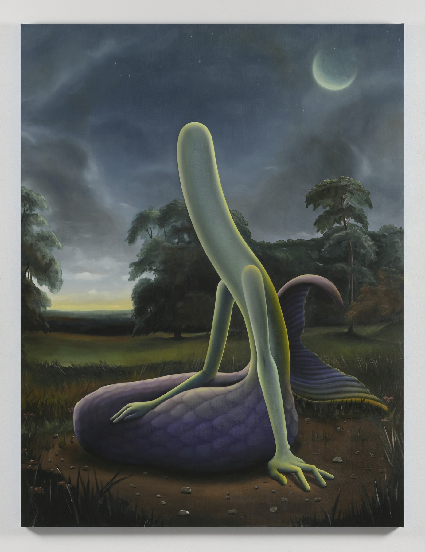 Carousel Image number 6