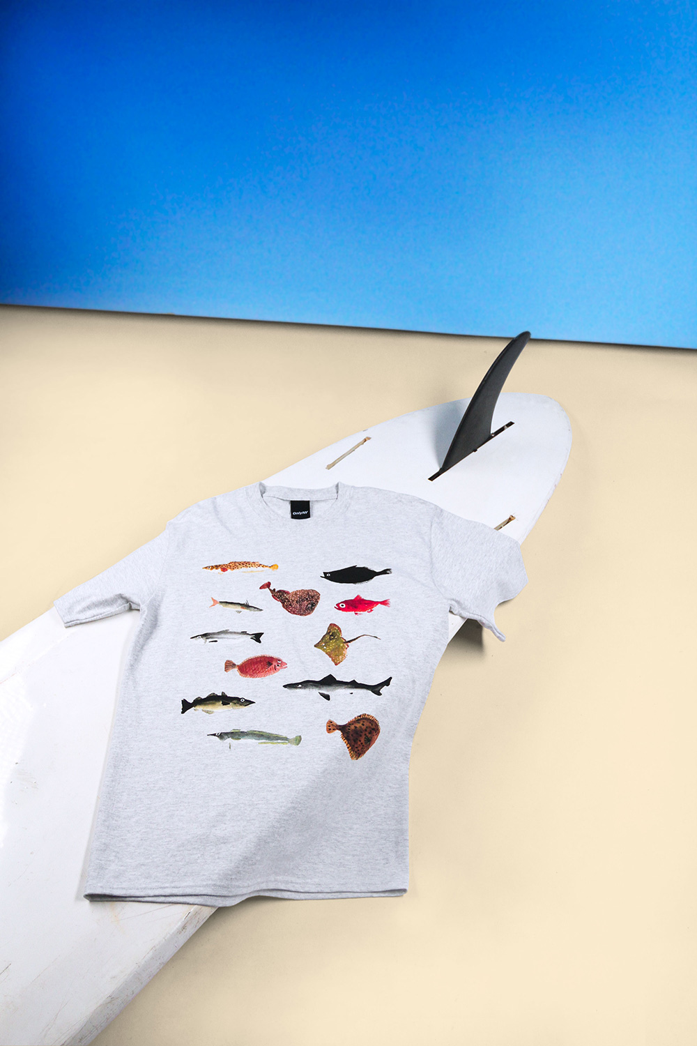 Carousel Image number 2