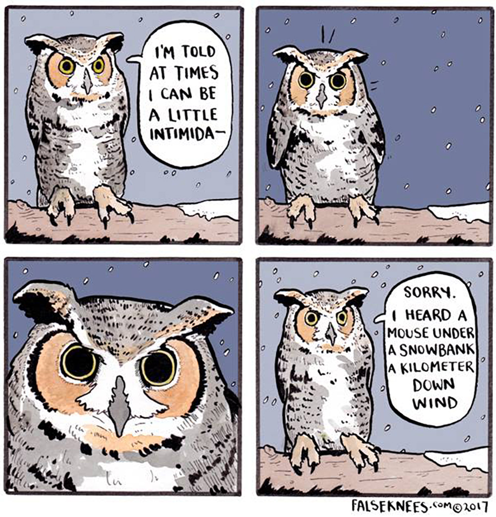 Carousel Image number 5