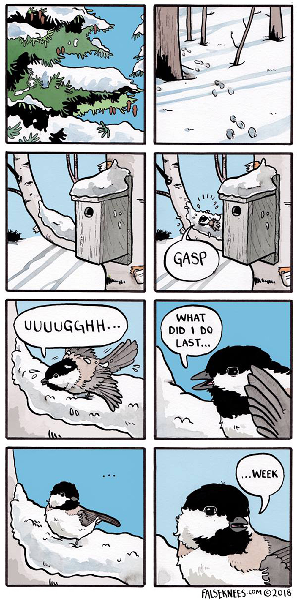 Carousel Image number 7