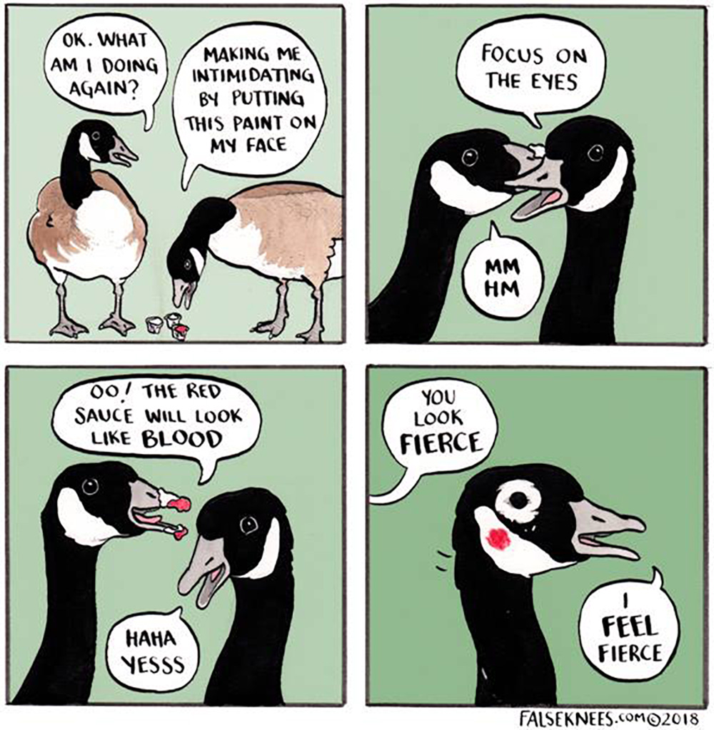 Carousel Image number 10