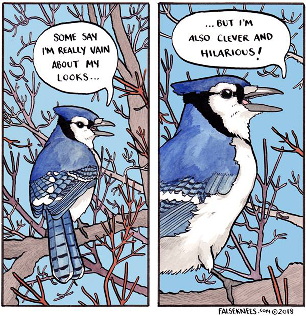 Carousel Image number 12