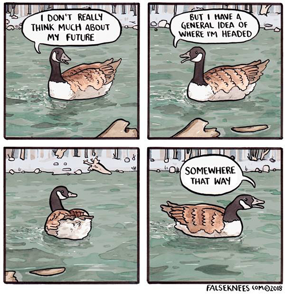 Carousel Image number 15