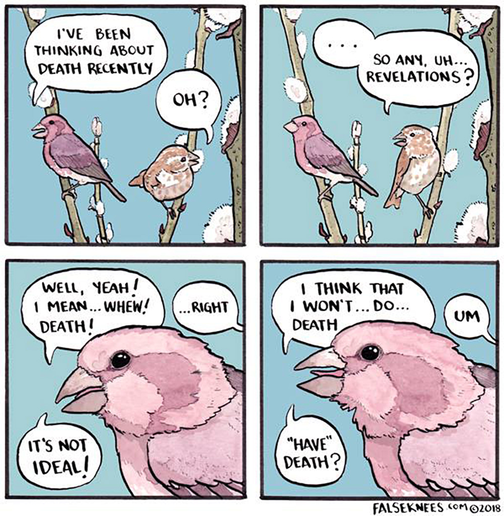 Carousel Image number 16