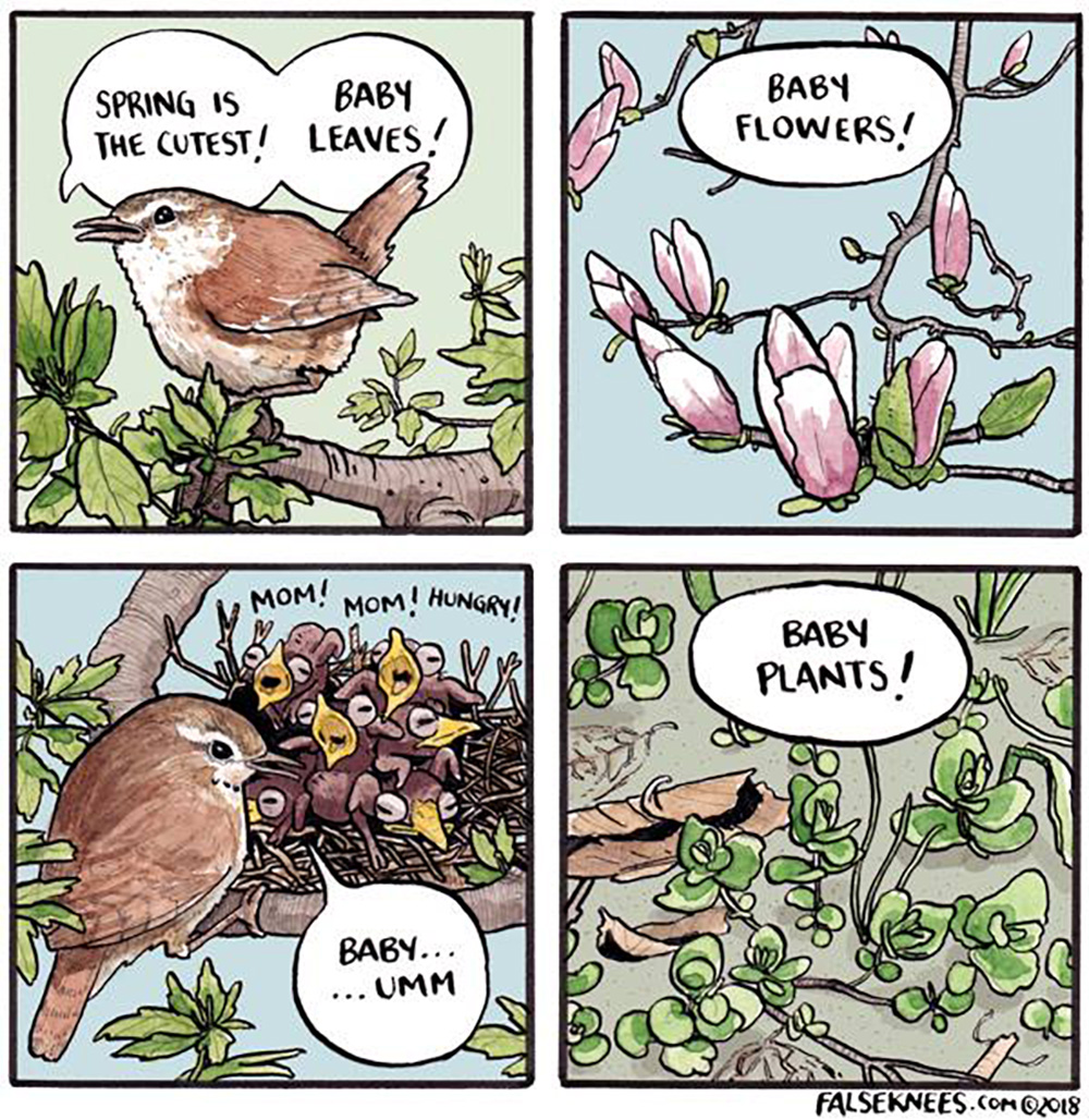 Carousel Image number 17