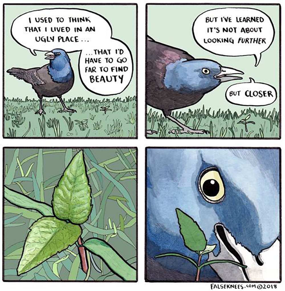 Carousel Image number 18