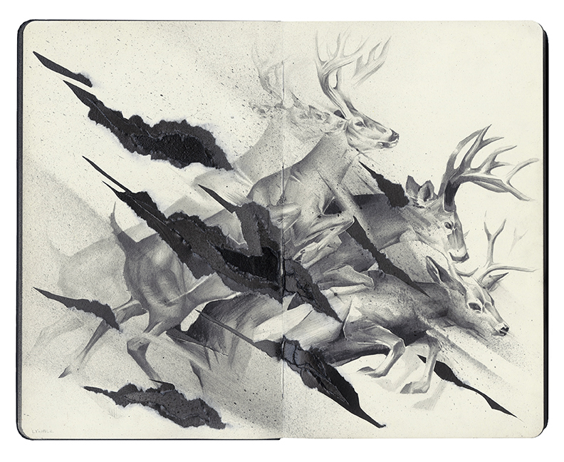 Aaron Li-Hill