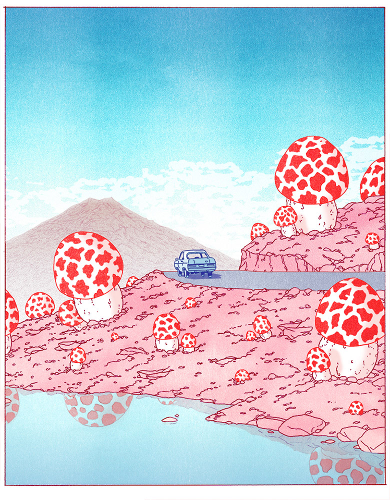 Carousel Image number 8