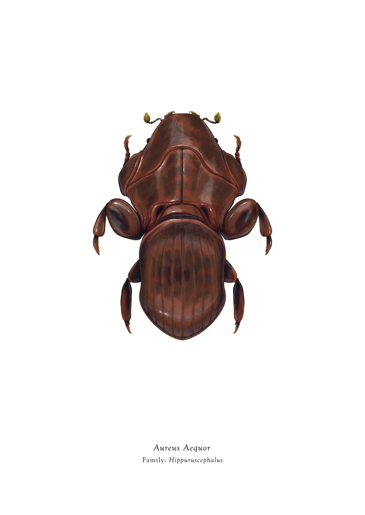 Carousel Image number 4