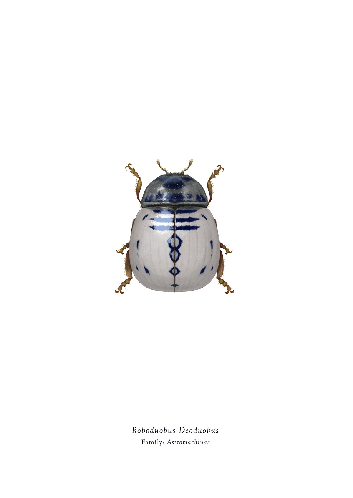 Carousel Image number 6