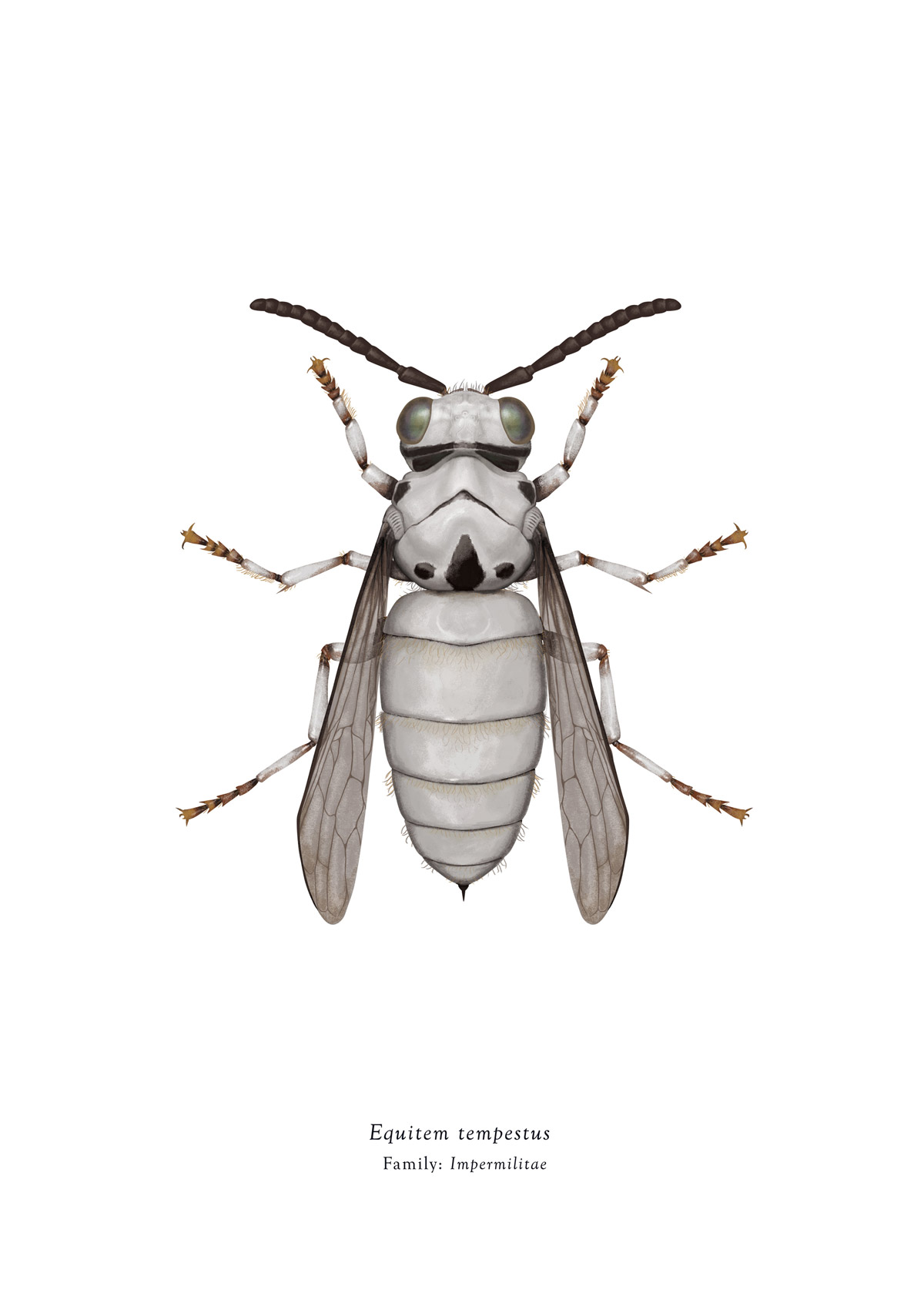 Carousel Image number 8