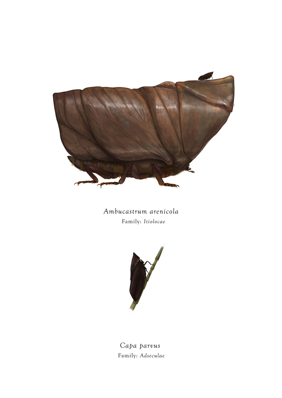 Carousel Image number 9