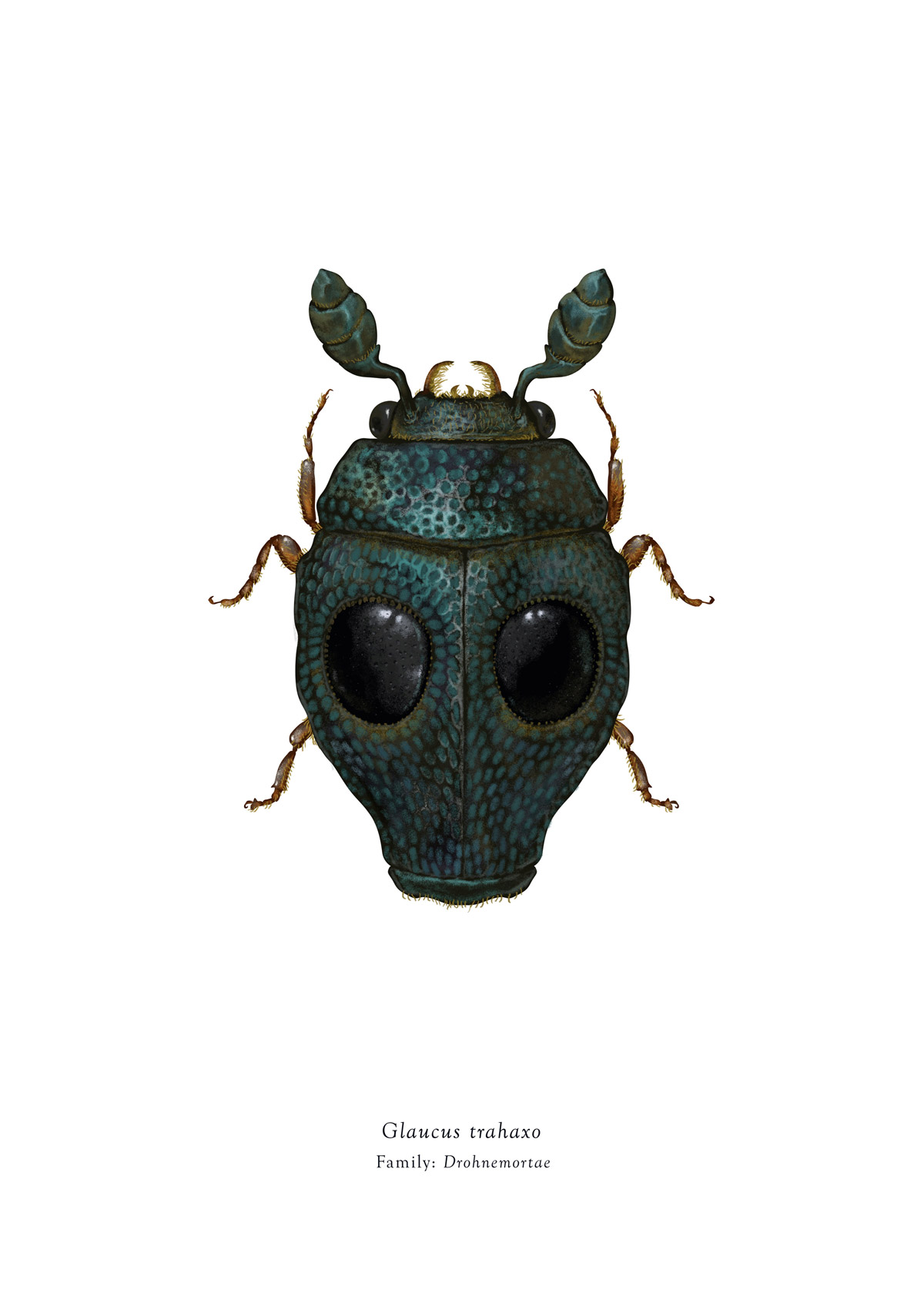 Carousel Image number 11