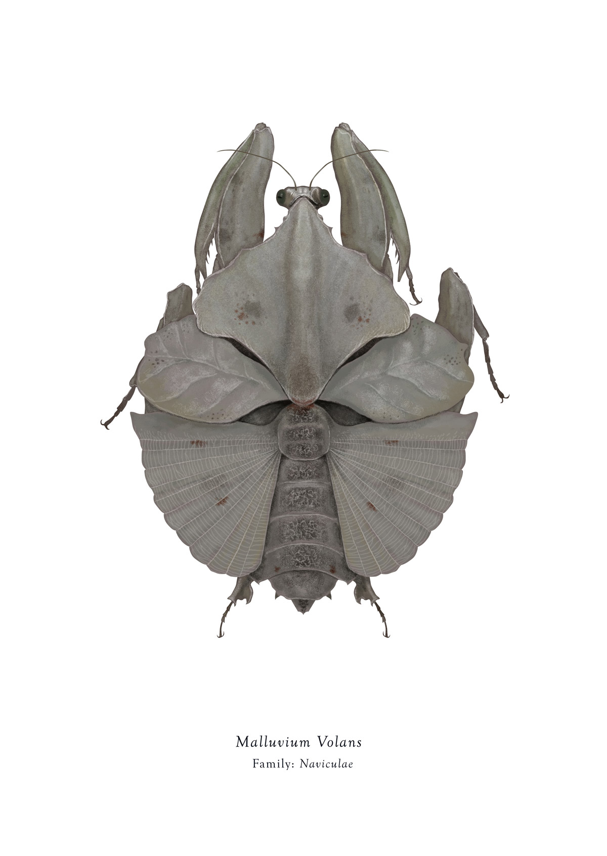 Carousel Image number 12