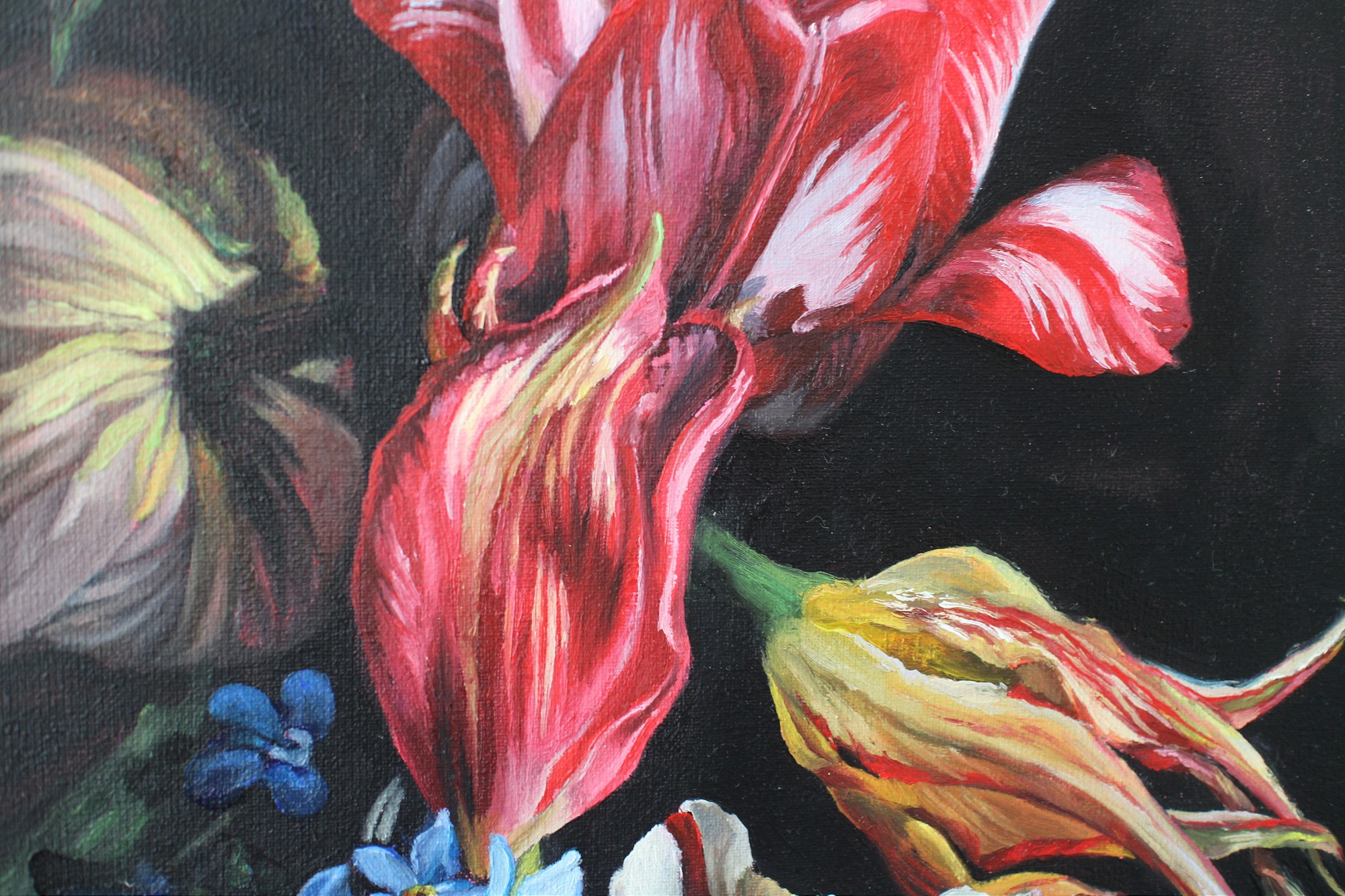 Carousel Image number 5