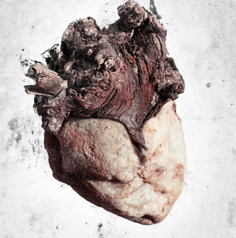 Life From Stone by Chris Slabber