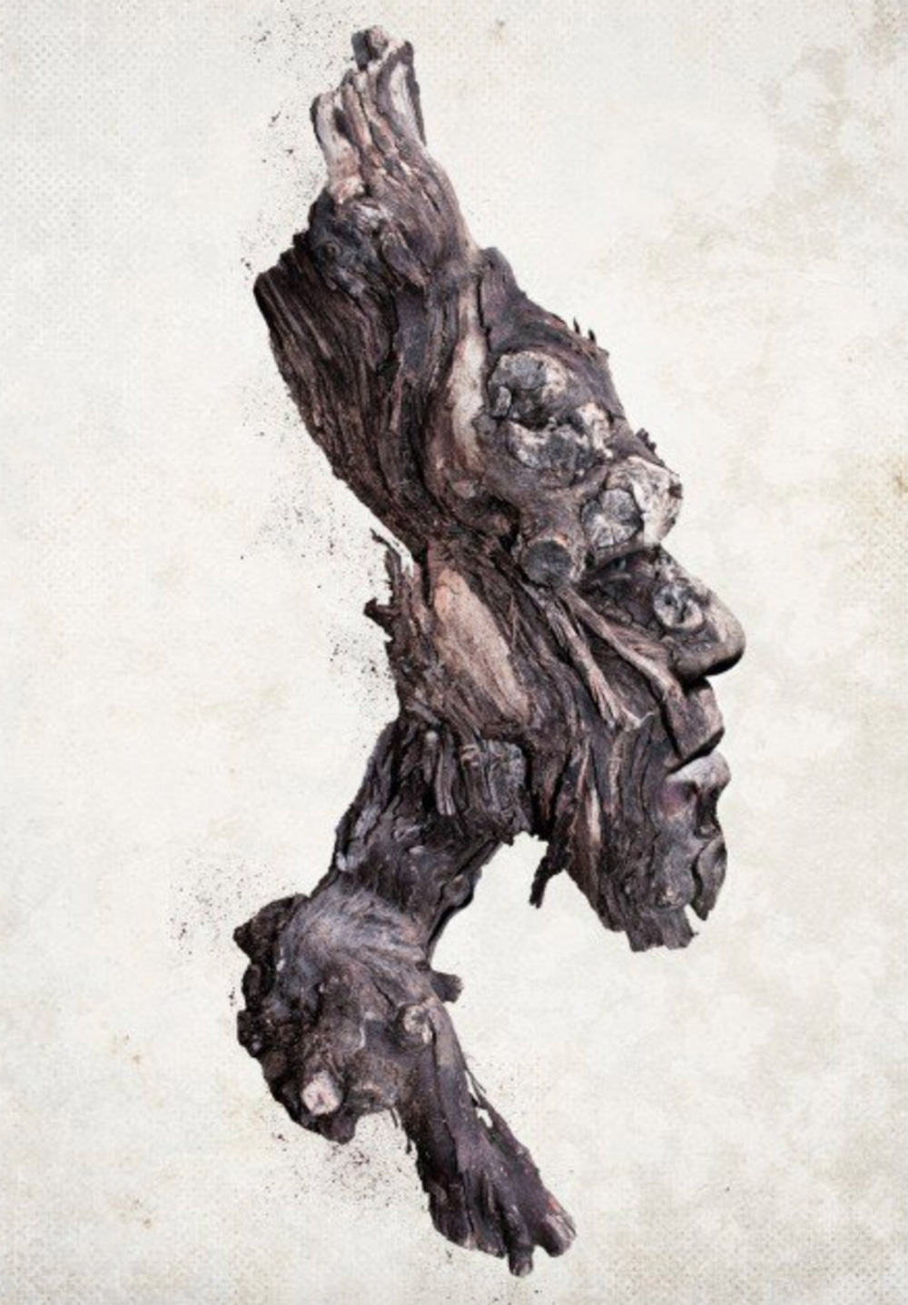 Life From Stone by Chris Slabber