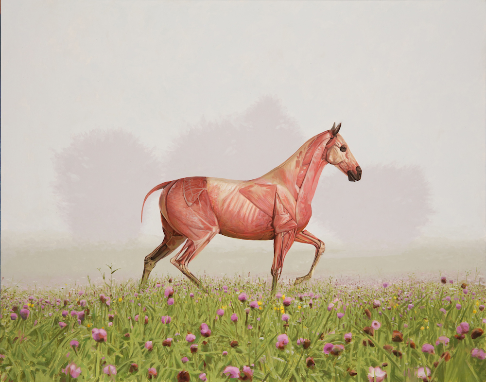 Carousel Image number 2