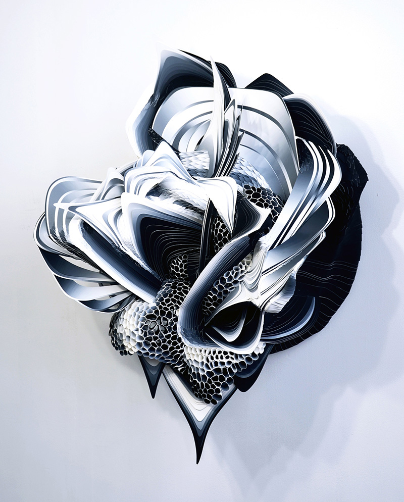 Carousel Image number 2