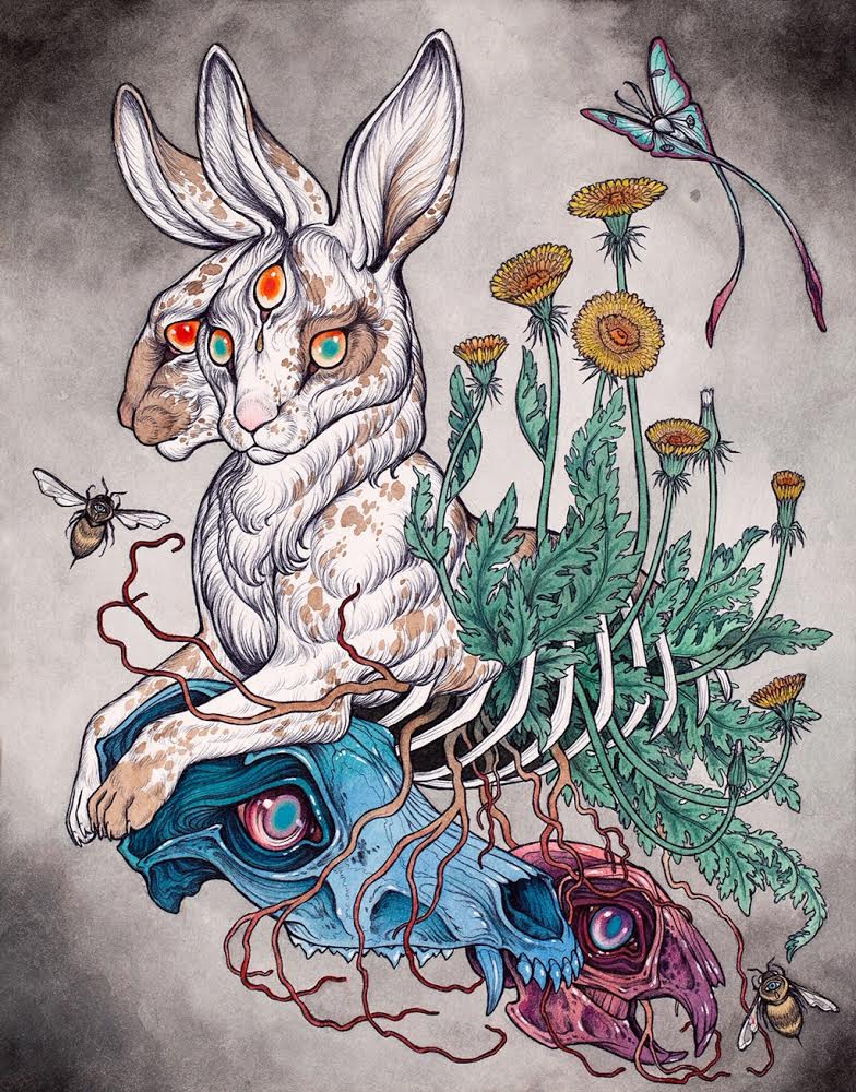 Caitlin Hackett
