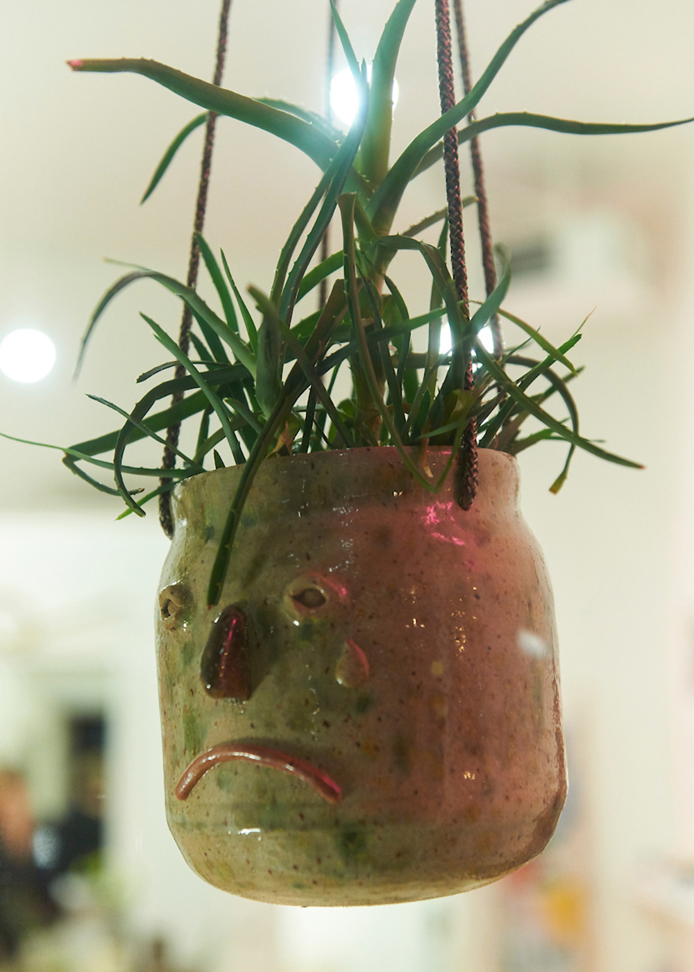 Carousel Image number 12