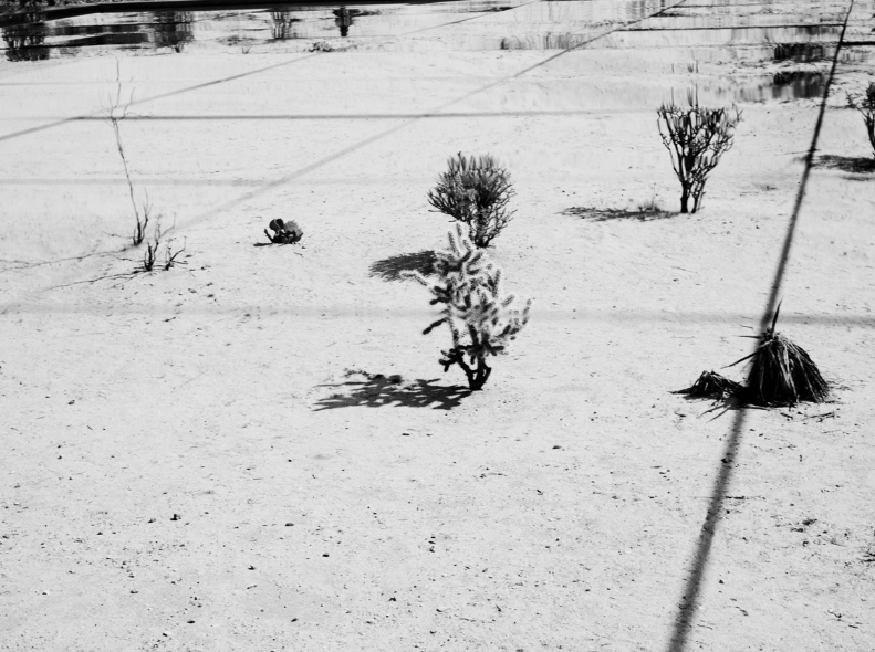 Carousel Image number 6