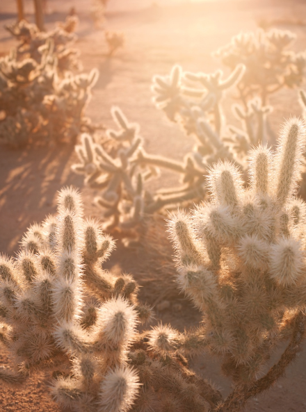 Carousel Image number 10