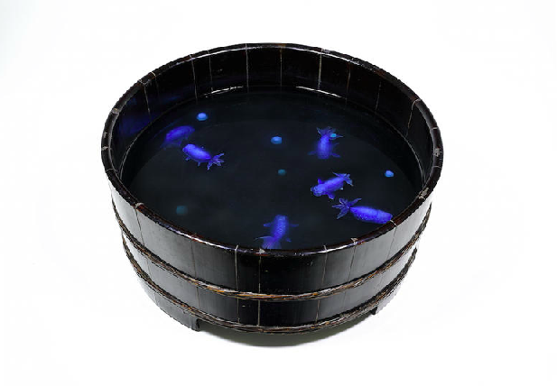 Carousel Image number 4