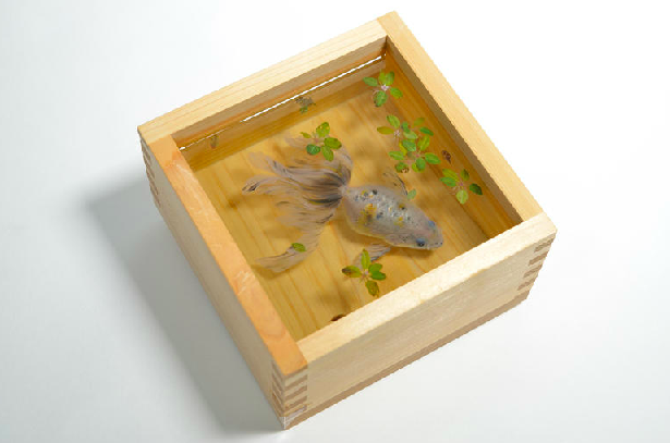 Carousel Image number 5