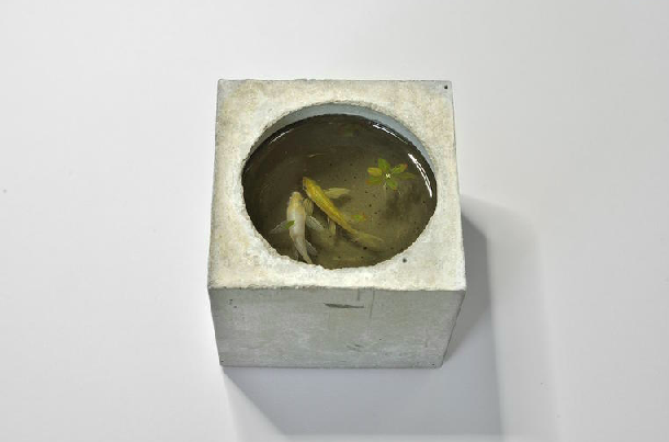 Carousel Image number 9