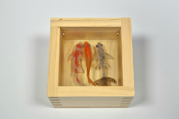 Carousel Image number 11