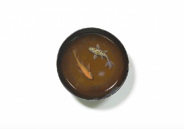 Carousel Image number 13