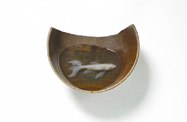 Carousel Image number 15