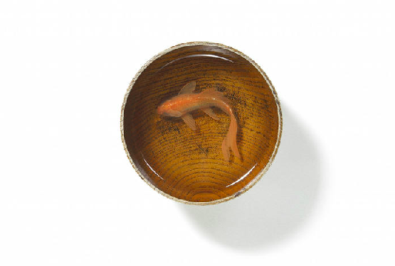 Carousel Image number 16