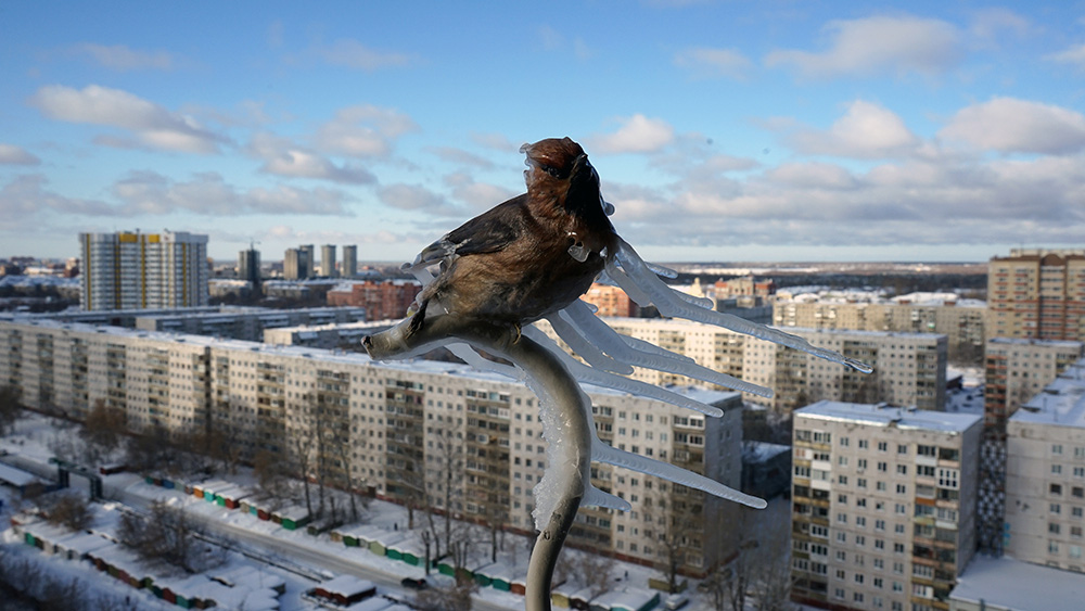 Carousel Image number 12